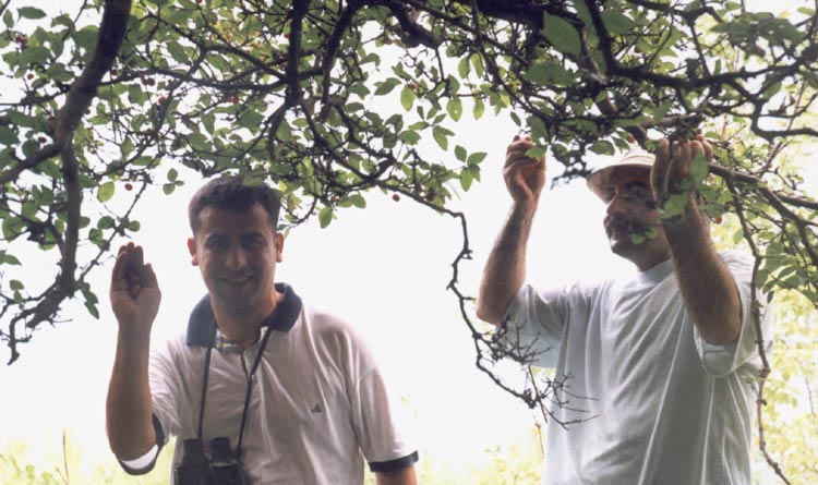 ERTAN TAN & ERTAN MERT - AKCISU ( 14-7-2001 )