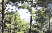 Anamur Burnu'na bakış...