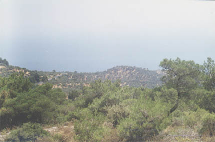 Canakkale-Edremit Road, July 27, 1999