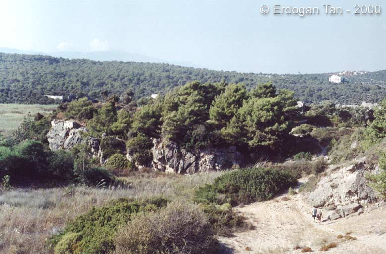 Patara [ September 2000 ]
