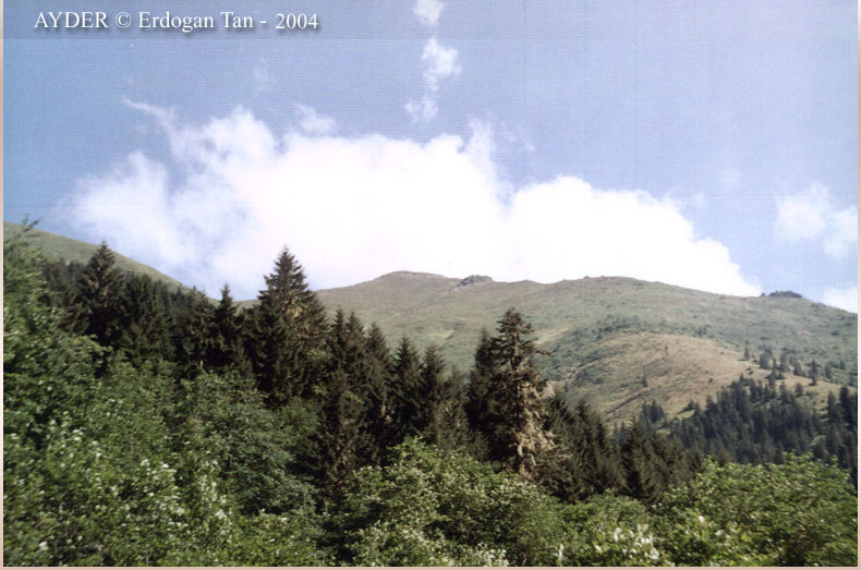 The south of AYDER High Plateau (August 2004)