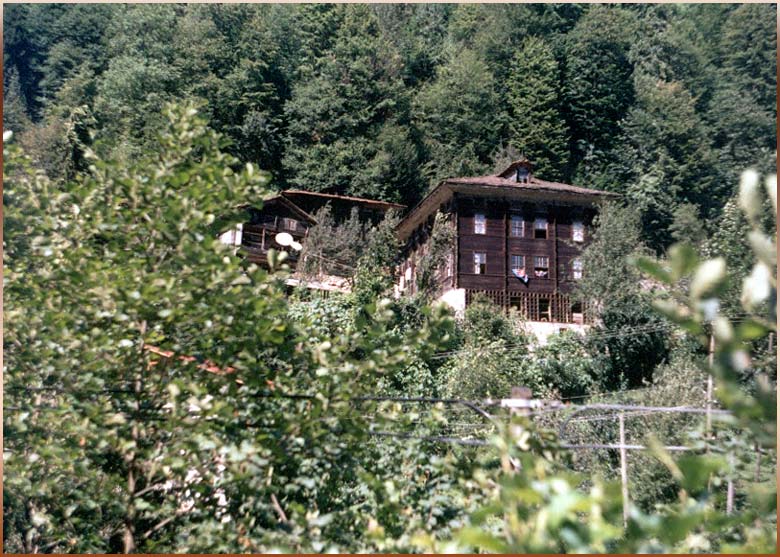 a Typical Mansion of Trabzon-Rize region - Tipik LAZ KONAGI (August 2004 - AMLIHEMSHiN)
