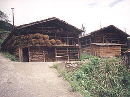 Typical Plateau House & Stable (Uzungol 1999)