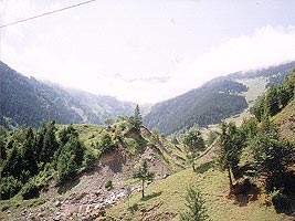 Top side of Uzungol area (1999)