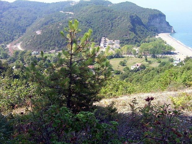 Gb Sahili - Trenyolu - Karayolu- Tepeky